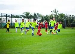 罗尔费斯,博尼费斯在,一定程度上,太阳城官网,H5太阳城官网,太阳城官网在线娱乐平台