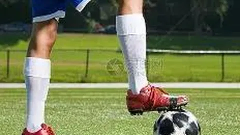 郑钦文担纲澳网揭幕战，中央球场赛程正式公布——央视新闻客户端最新报道